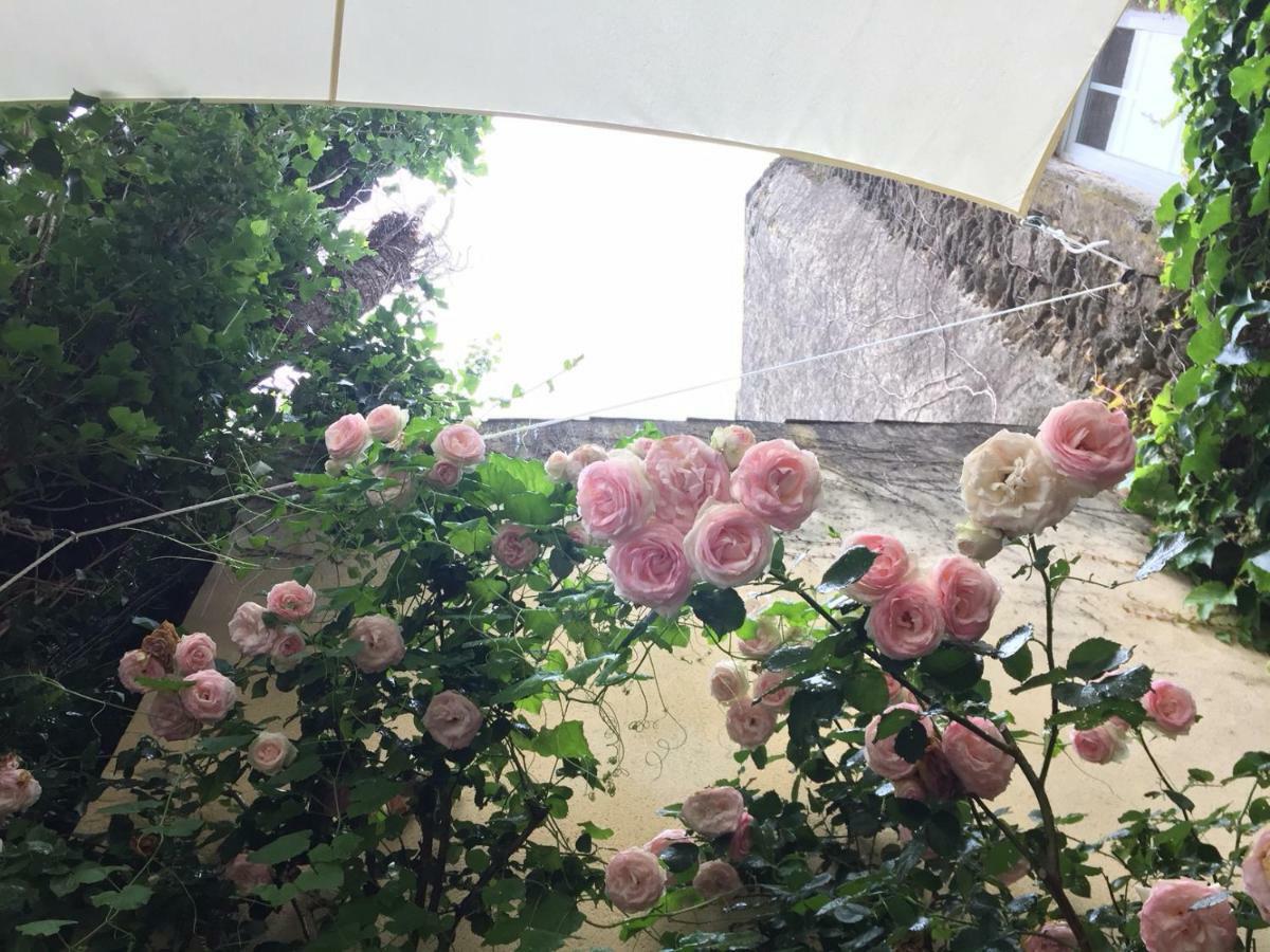 Les Aiguieres En Provence Bed & Breakfast Suze-la-Rousse Dış mekan fotoğraf
